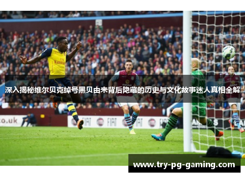 深入揭秘维尔贝克绰号黑贝由来背后隐藏的历史与文化故事迷人真相全解 深入揭秘维尔贝克绰号黑贝由来背后隐藏的历史与文化故事迷人真相全解