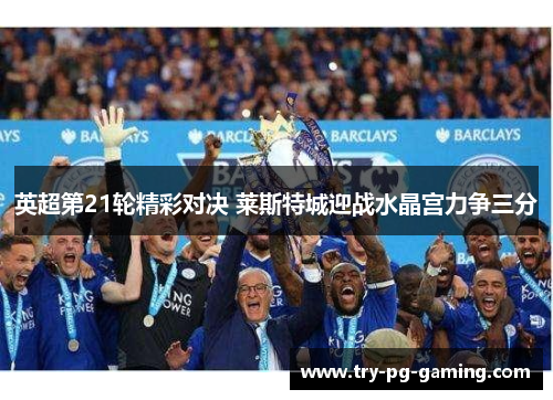 英超第21轮精彩对决 莱斯特城迎战水晶宫力争三分